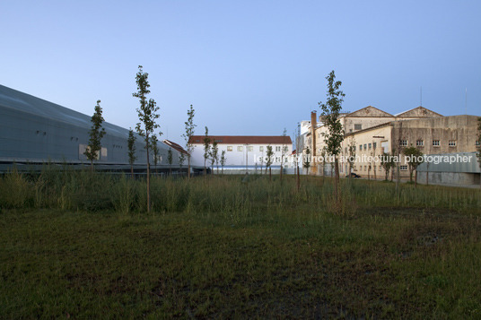 faculdade de artes e arquitectura inês lobo