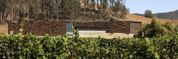 morandé winery