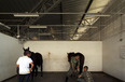 equestrian center - stables bcmf arquitetos