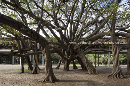 ibirapuera several authors