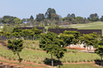 villas do green - fazenda boa vista arthur casas