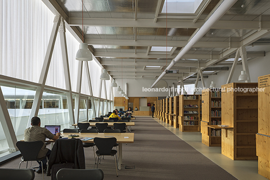 biblioteca e arquivo público luís da silva ribeiro inês lobo