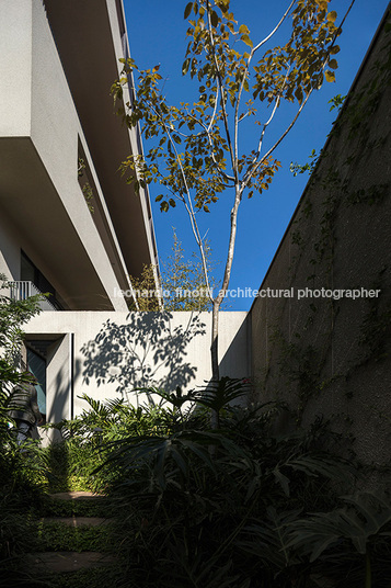 oka isay weinfeld