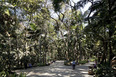 parque trianon paul villon