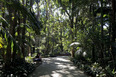 parque trianon paul villon