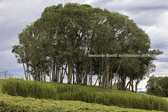 terramilia rancho queimado ja8 arquitetura e paisagem