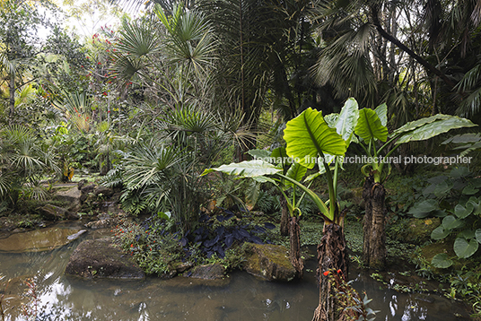 jardim & esculturas - inhotim several authors