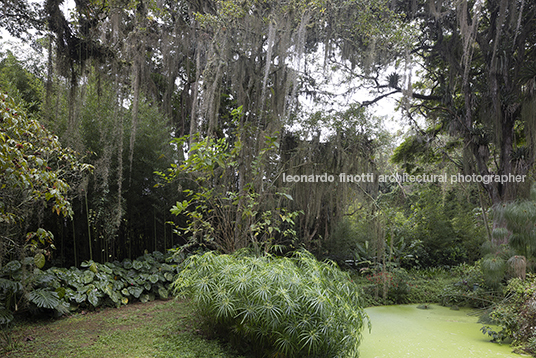 fazenda samambaia burle marx