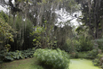 fazenda samambaia burle marx