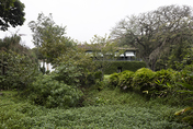 fazenda samambaia