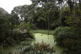 fazenda samambaia burle marx