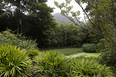 fazenda samambaia burle marx