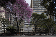 belo horizonte snapshots several authors