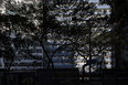 belo horizonte snapshots several authors
