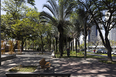 belo horizonte snapshots several authors