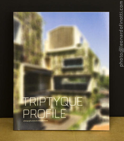 triptyque profile