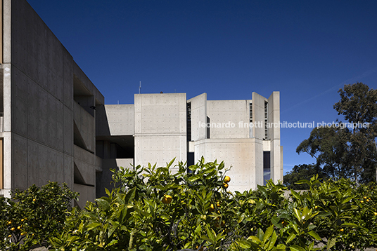 salk institute for biological studies louis i. khan