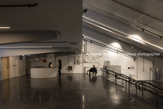 pétalas e estrelas juliana godoy