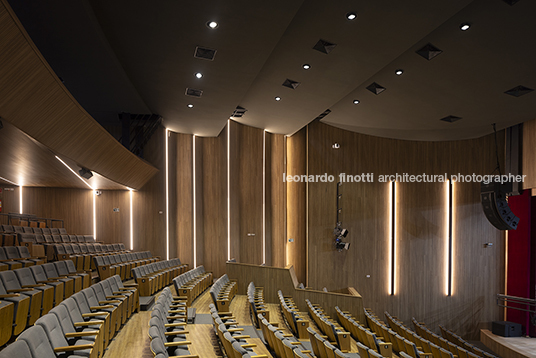 pétalas e estrelas juliana godoy