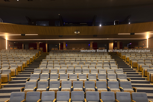 pétalas e estrelas juliana godoy