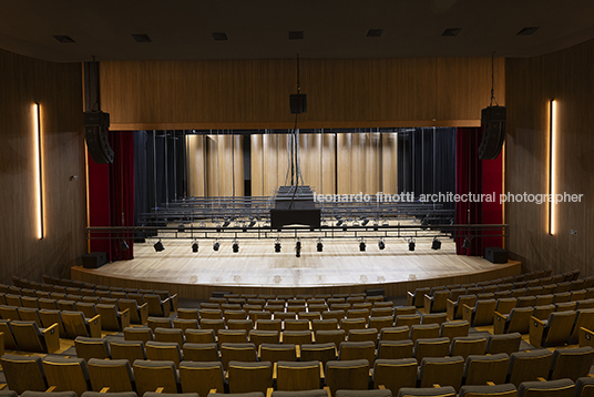 pétalas e estrelas juliana godoy