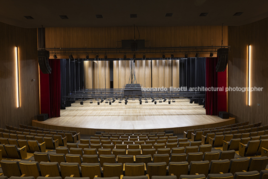 pétalas e estrelas juliana godoy