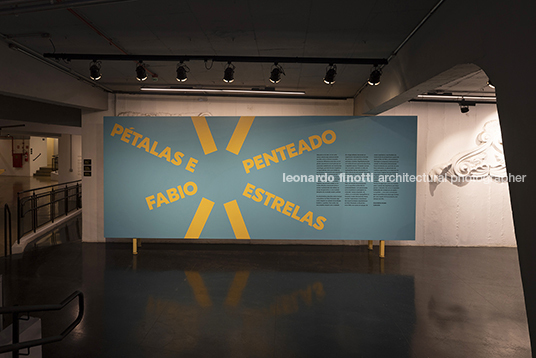 pétalas e estrelas juliana godoy