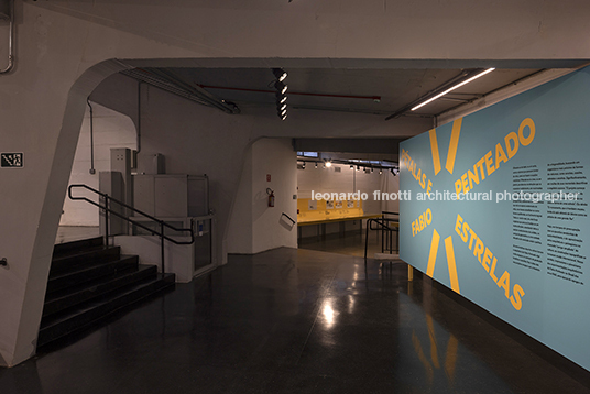 pétalas e estrelas juliana godoy