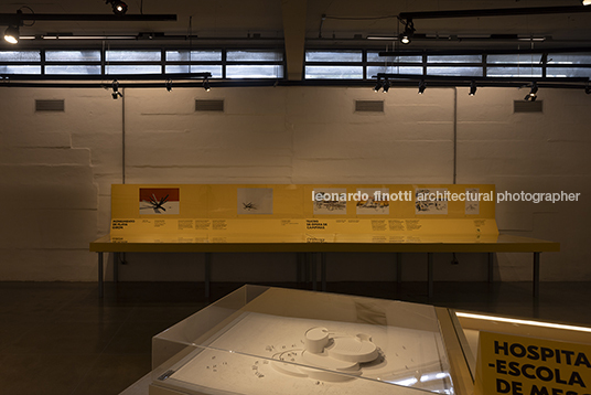 pétalas e estrelas juliana godoy