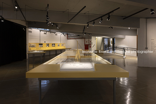 pétalas e estrelas juliana godoy