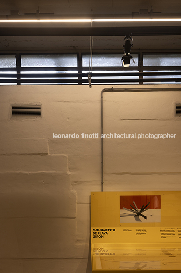 pétalas e estrelas juliana godoy