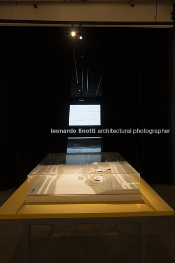 pétalas e estrelas juliana godoy