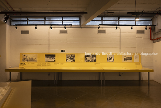 pétalas e estrelas juliana godoy