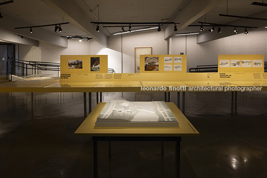 pétalas e estrelas juliana godoy