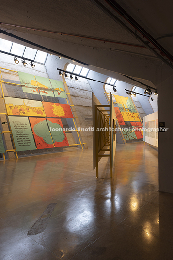 pétalas e estrelas juliana godoy