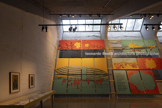 pétalas e estrelas juliana godoy