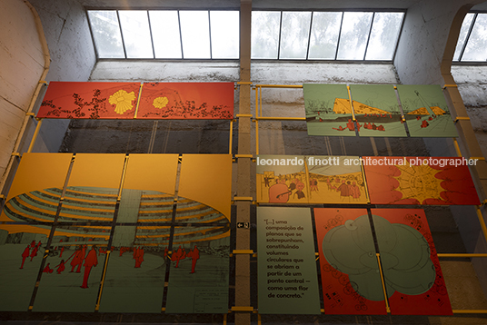 pétalas e estrelas juliana godoy