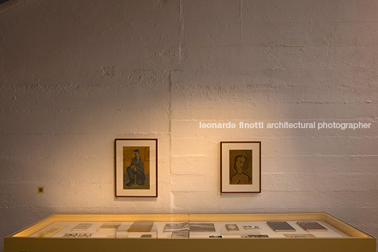 pétalas e estrelas juliana godoy