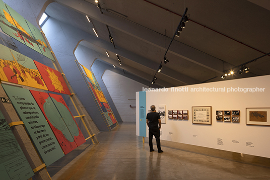 pétalas e estrelas juliana godoy