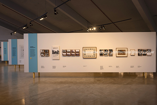 pétalas e estrelas juliana godoy