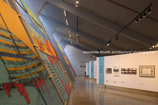 pétalas e estrelas juliana godoy