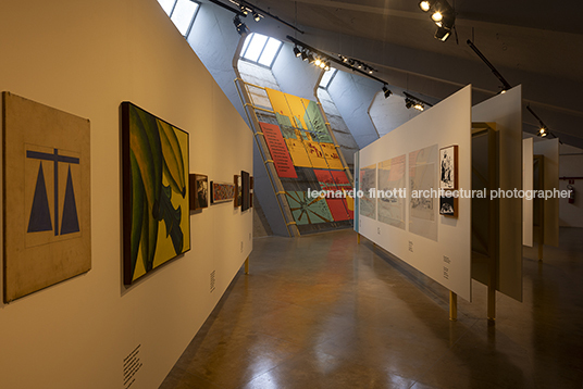 pétalas e estrelas juliana godoy