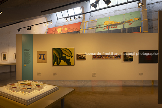 pétalas e estrelas juliana godoy