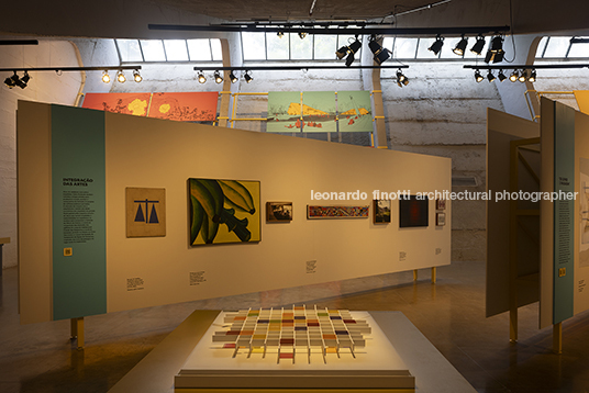 pétalas e estrelas juliana godoy