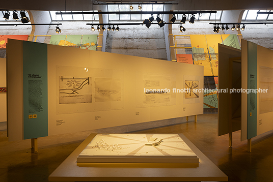 pétalas e estrelas juliana godoy