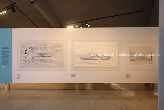 pétalas e estrelas juliana godoy