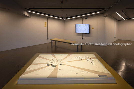 pétalas e estrelas juliana godoy