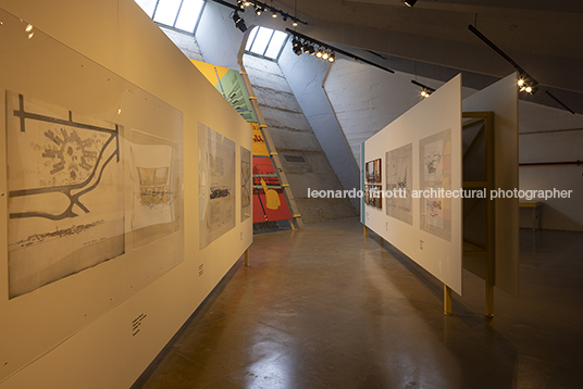 pétalas e estrelas juliana godoy