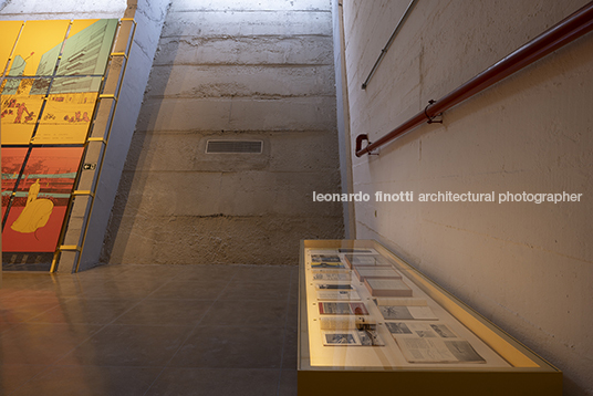 pétalas e estrelas juliana godoy