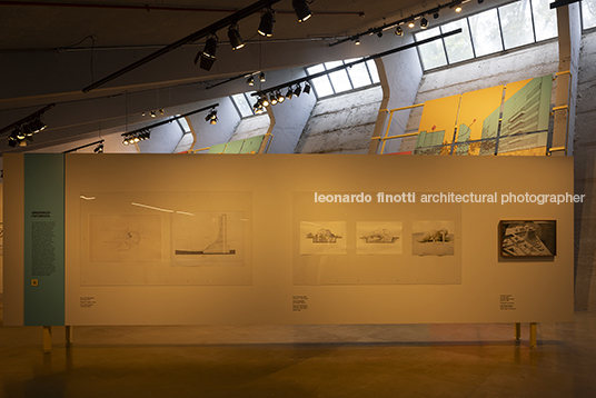 pétalas e estrelas juliana godoy